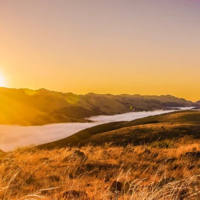Best Time to Visit San Luis Obispo for Families and Pet Owners